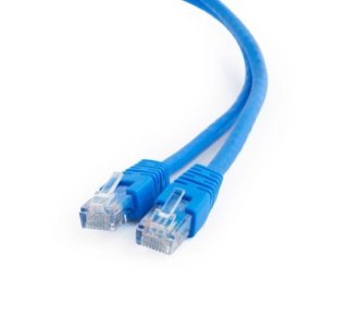 Gembird RJ45 - RJ-45 UTP kat.6 0.25m niebieski