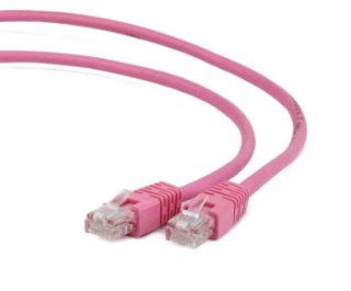 Gembird RJ45 - RJ45 kat 5e UTP 5m różowy