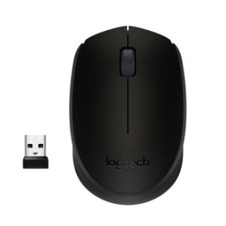 Logitech B170