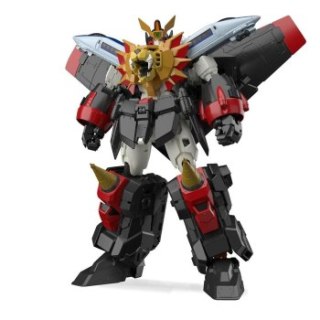 RG GAOGAIGAR